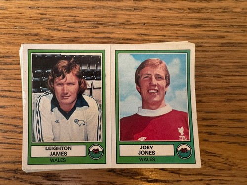 Panini euro football blue - 78,